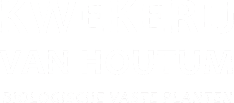 Kwekerij van Houtum - Biologische vaste planten - Doorn