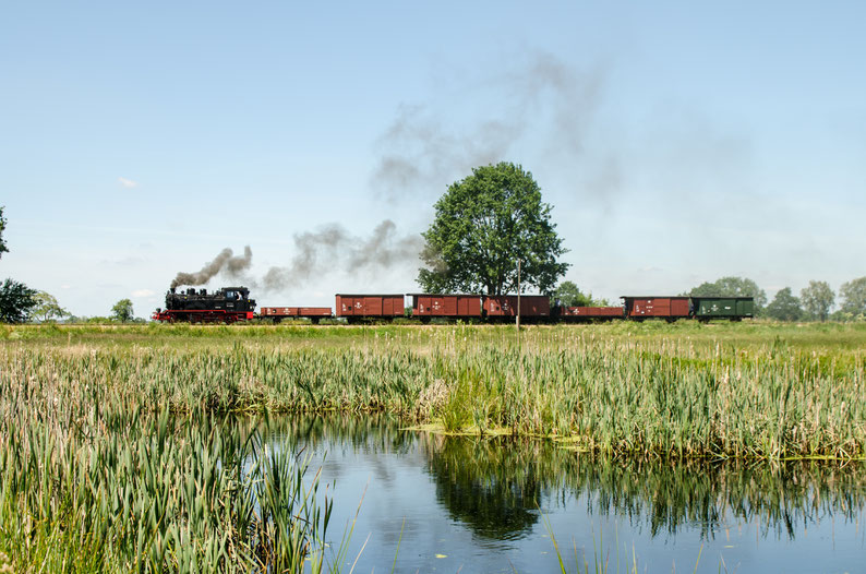 Eine Dampflokomotive mit Güterzug fährt an einem See vorbei durch eine Sommerlandschaft