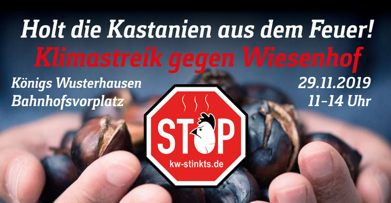 Holt die Kastanien aus dem Feuer!