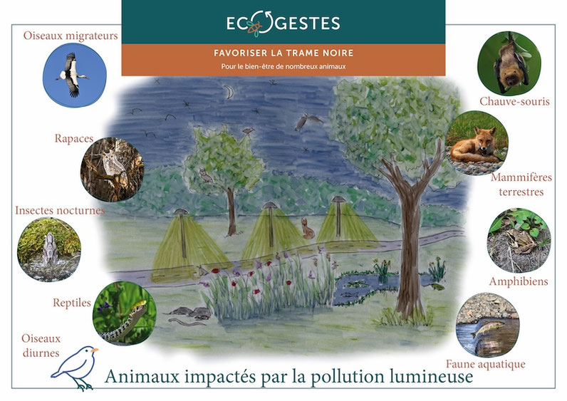 Nécessité de réduire l'éclairage nocturne