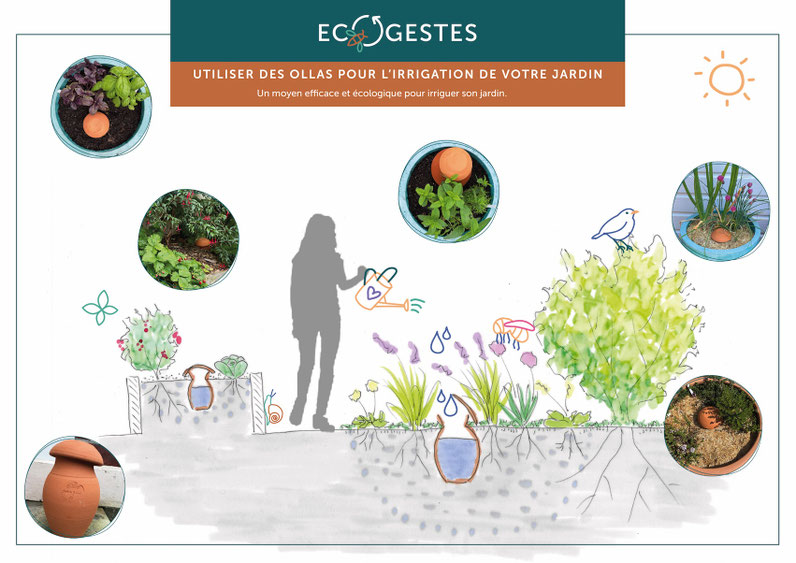 Utiliser les ollas pour l'irrigation de votre jardin