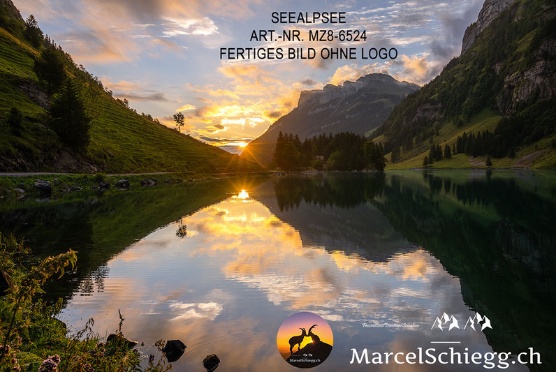Seealpsee, Seealpsee Alpstein, Seealpsee Schweiz, Wandern Seealpsee, Alpstein Bergsee, Seealpsee Bilder, Alpstein Fotos, Bergsee Schweiz Bilder, Seealpsee Fotogalerie