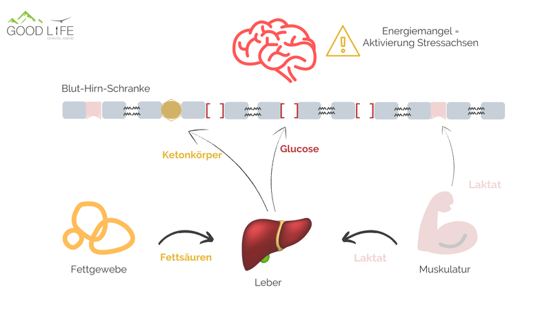 Brain Food Gute Denkleistung Mit Richtiger Ernahrung Good Life