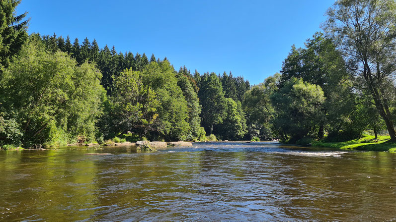 Paddeltour auf der Moldau von Vissy Brod