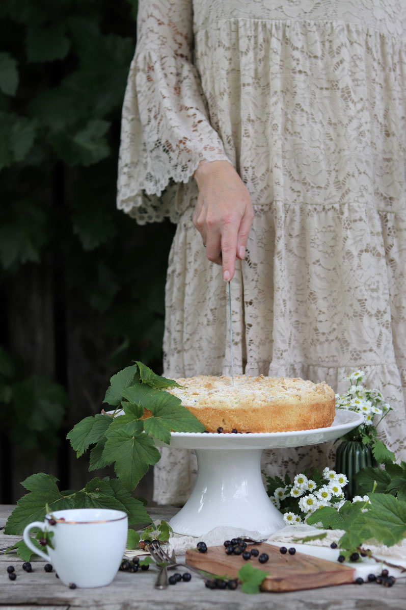 Johannisbeerkuchen mit Streusel