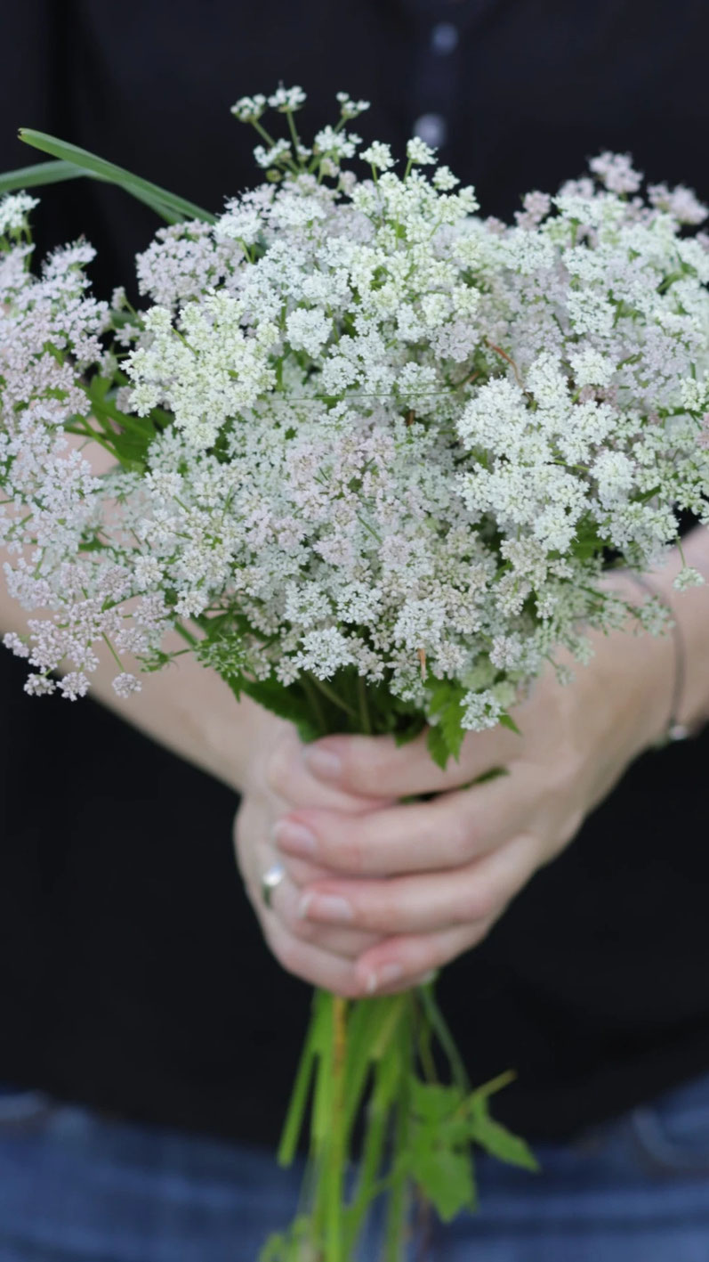 Blumenstrauß aus der Wiese