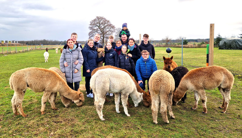 Teambuilding und Gruppenevents bei den Seelenheil-Alpakas