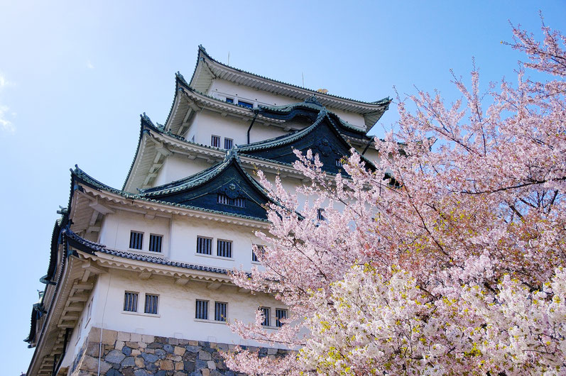 名古屋城＿桜の名所