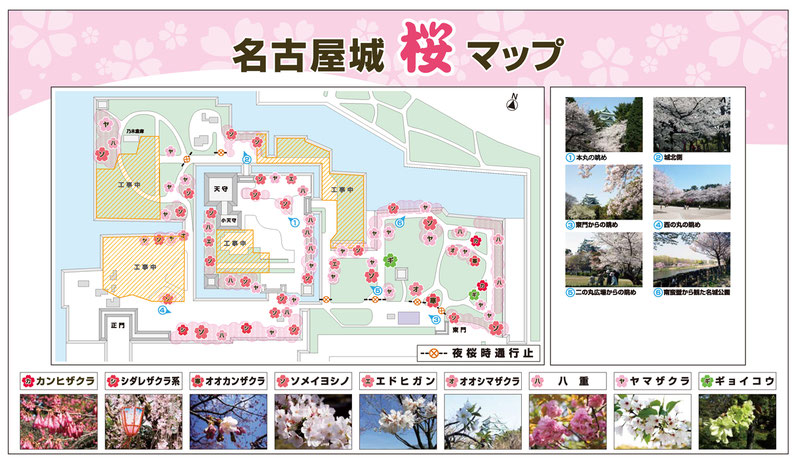 名古屋城＿桜マップ