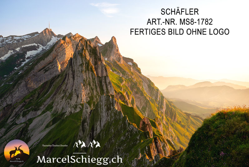 Schäfler, Schäfler Alpstein, Schäfler Appenzell, Schäfler Wanderung, Schäfler Aussicht, Schäfler Bilder, Alpstein Fotos, Schäfler Fotogalerie, Bergpanorama Schäfler