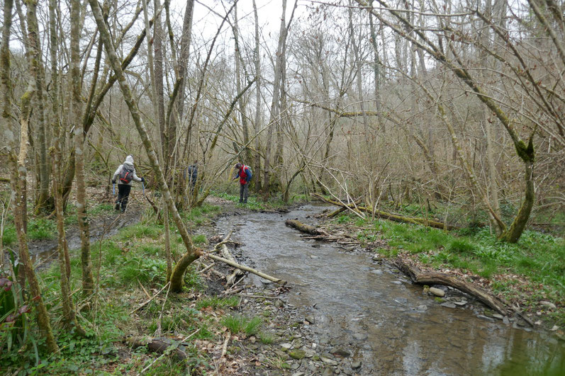 sur les rives de l'Aubich