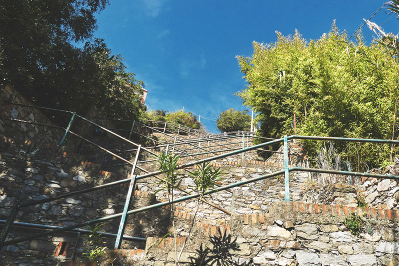 BIGOUSTEPPES ESCALIERS CINQUE TERRE LARDARINA