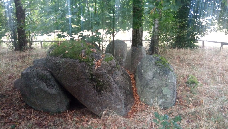 Dolmen Formation ca. 6000 Jahre alt in Mecklenburg.