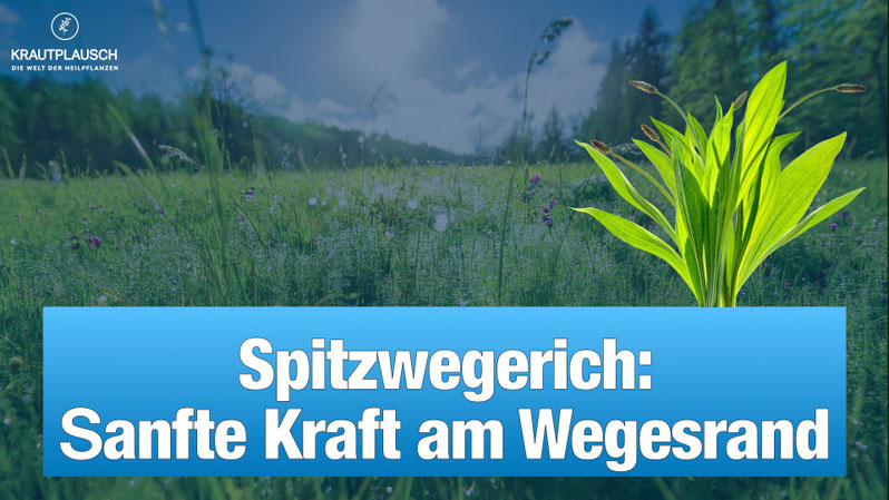 Bildbeschreibung