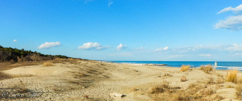 Dune e mare della spiaggia della Bassona a Lido di Classe.