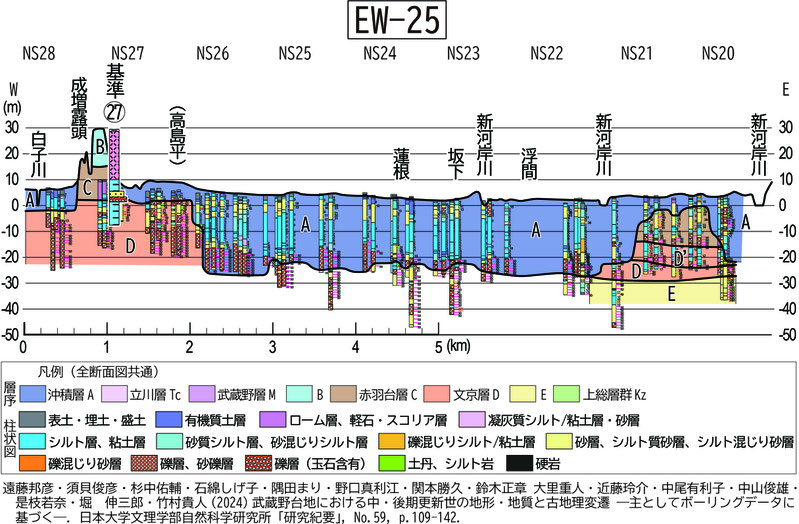 成増、蓮根、浮間を通る東西断面図