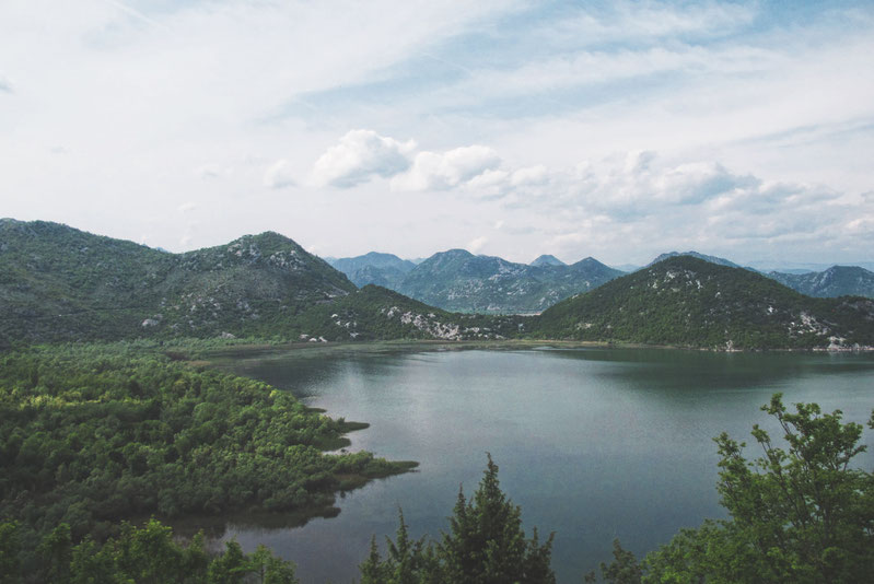 bigousteppes skadar montenegro balkans lac