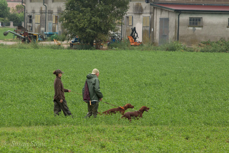 Julie und Eikki gehen ins Feld (Paarsuche Italien)
