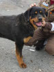 Tyson 09/25