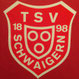 TSV Schwaigern - Volleyball