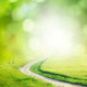 Weg ins Licht