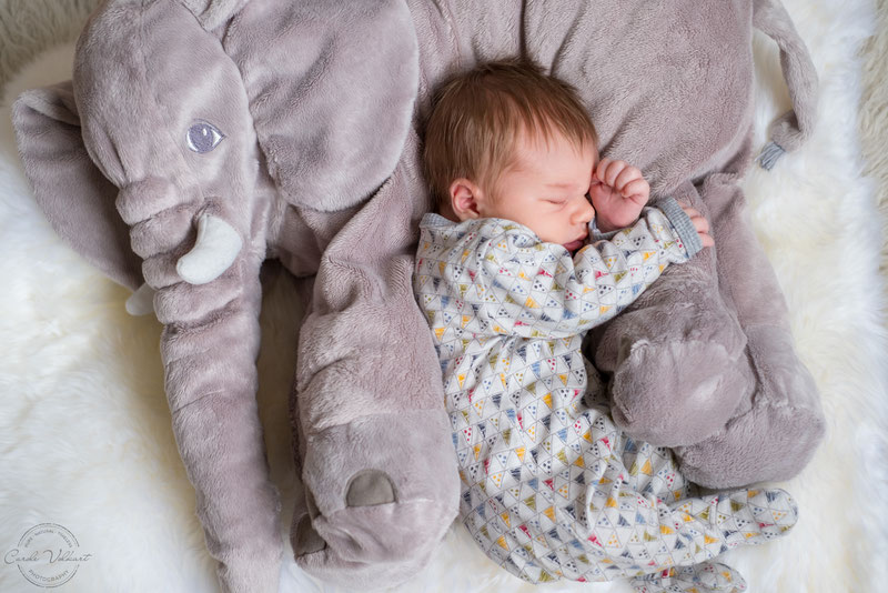 10 Tipps für süsse Babyfotos Zuhause, Babies zu Hause fotografieren, Tipps und Tricks Babyfotografie Zuhause, Fotografieren mit Tageslicht am Fenster, Neugeborenenfotografie, Babyshooting, Babyfotografie