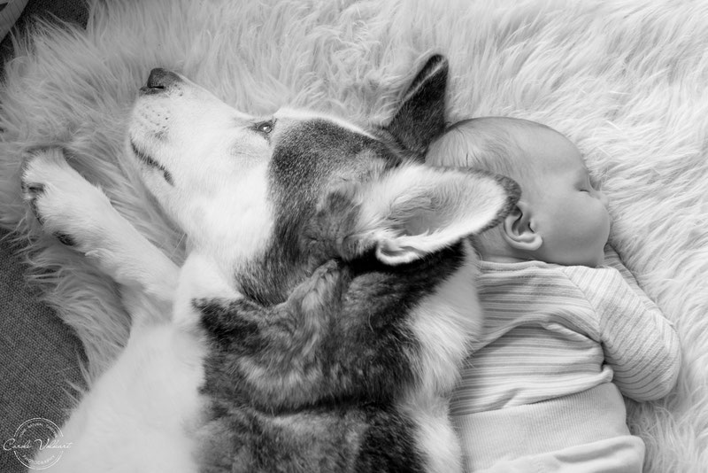10 Tipps für süsse Babyfotos Zuhause, Babies zu Hause fotografieren, Tipps und Tricks Babyfotografie Zuhause, Fotografieren mit Tageslicht am Fenster, Neugeborenenfotografie, Babyshooting, Babyfotografie