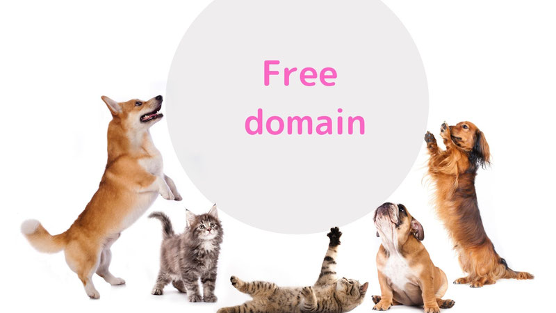 ジンドゥーで無料ドメインは SEOではどうなの?