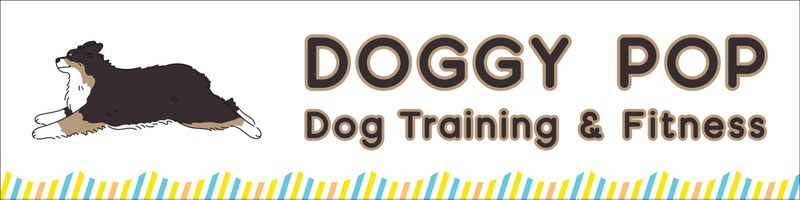 堺・泉州・大阪南部　犬のしつけならDOGGY POP