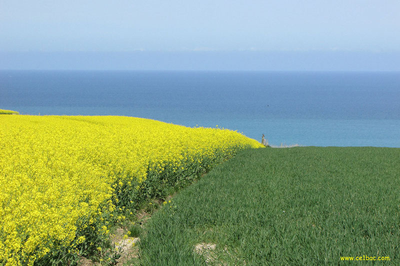 Colorie la journée, Petits pas, grand bol d’air