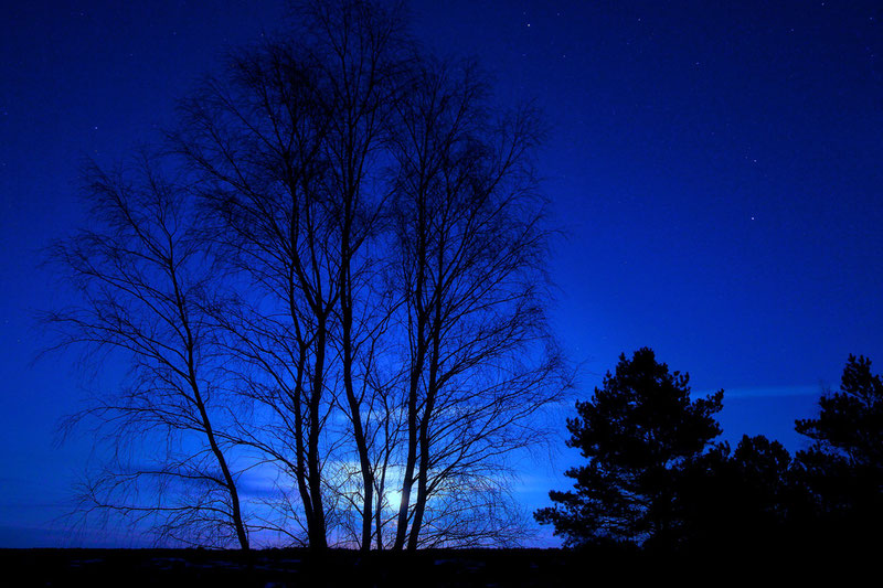 Der Mond ist aufgegangen... (Nemitzer Heide, Januar 2012)
