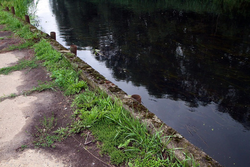 Am Ufer des Flusses Jeetze bei Salzwedel wurde ehemaliges Bohrgestänge zur Befestigung des Ufers in den Boden gerammt.