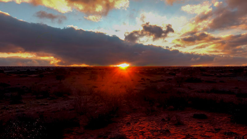 Soleil couchant dans le Kalahari, Namibie