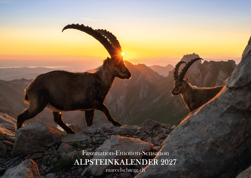 Alpstein Kalender, Alpstein Bildkalender, Bilder Alpstein, Alpsteinkalender