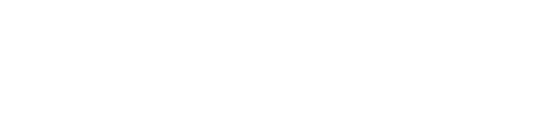 Shelter Boy