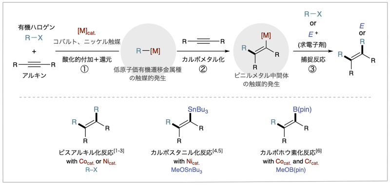 生体触媒を使う有機合成 研究内容 | 丸岡研究室 京都大学薬学研究科 有機触媒化学研究室