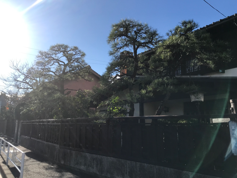 剪定作業のビフォーアフターのイメージ