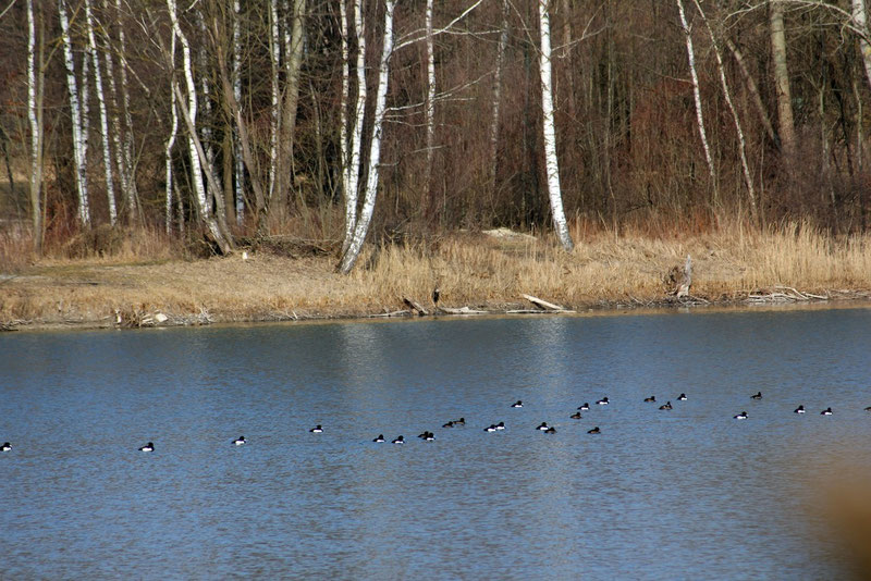 Märzensee Ansicht 1