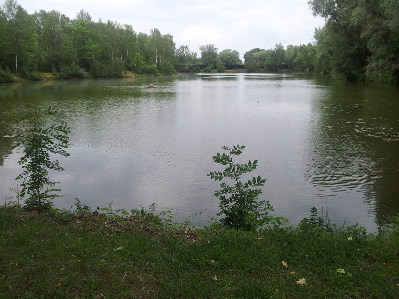 Fohlenweidensee Ansicht 3