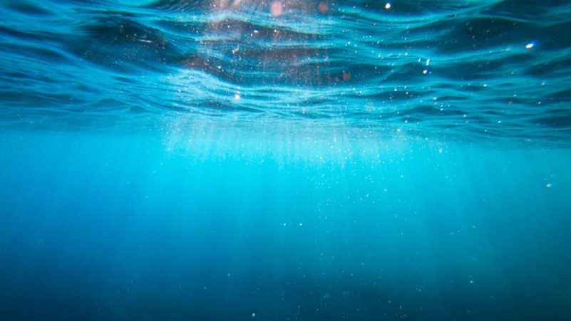 Meer. Bild von Cristian Palmer auf Unsplash.