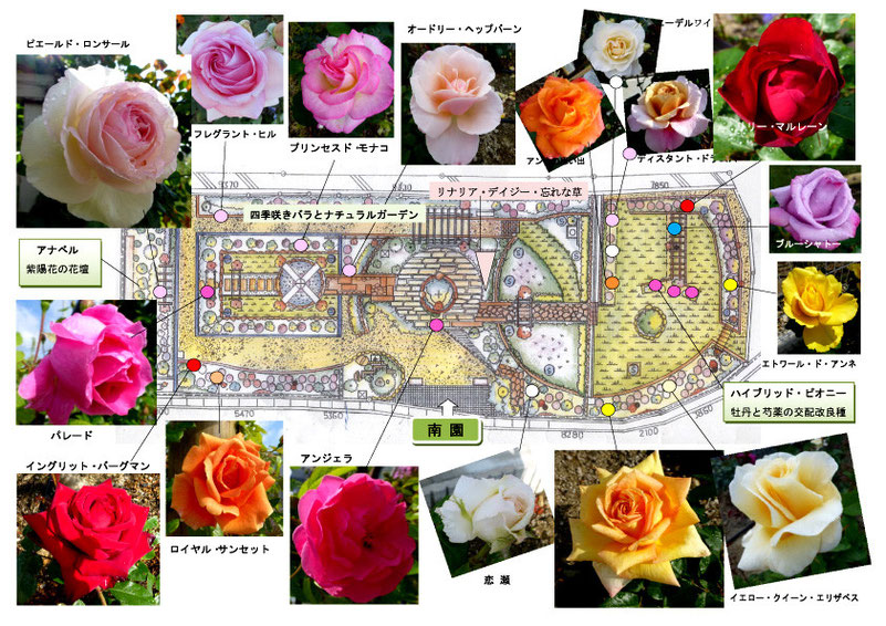 南園の主なバラたち。　　　　　　　　　　　　　　　　　　　　　　　　　　　　　　　　　　　　　　　　共に、当日の配付資料：バラ園マップ。