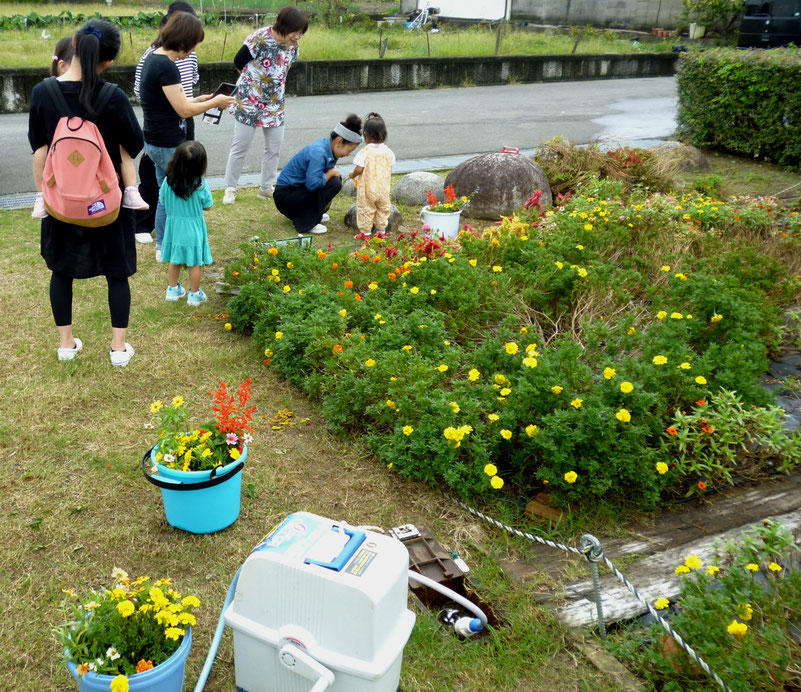 公園でお花を摘むママと幼児