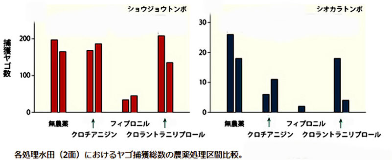 　　　　　　　　　　　　　　　　稲作農薬のトンボへの影響（国立環境研発表から。図の一部の補足説明を省略）