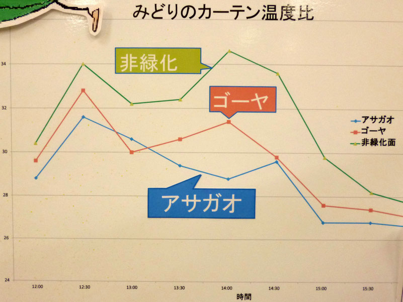 ゴーヤや朝顔=みどりのカーテンでは数度低く・・。