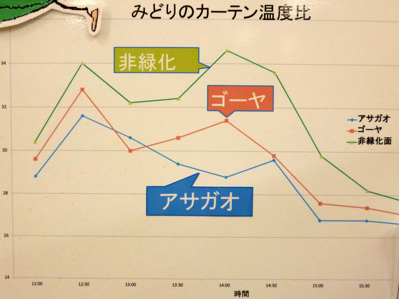 ゴーヤや朝顔＝みどりのカーテンでは数度低く・・。