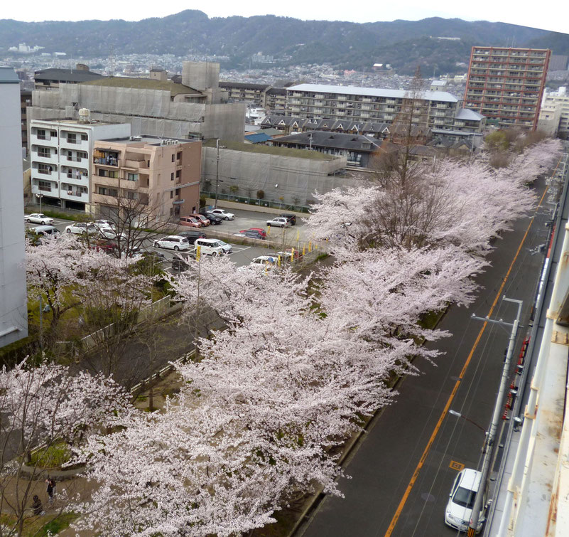 ズーと続く・・