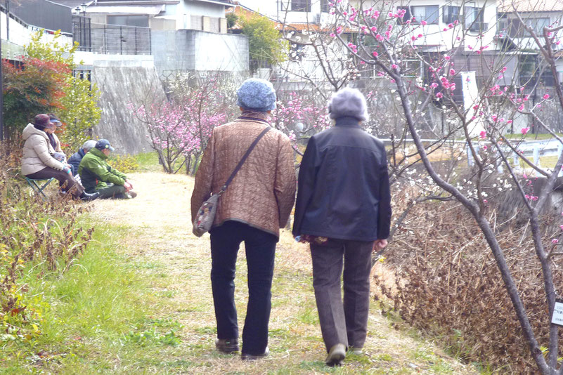 のんびり散歩、ほっこり休憩・・