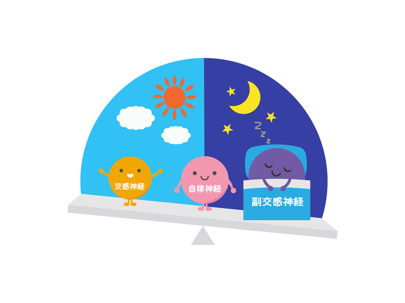 自律神経