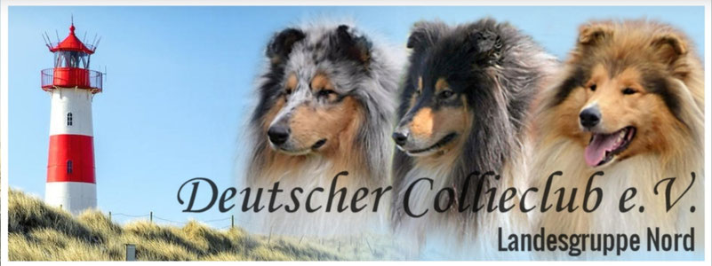 dcc-lg-nords Webseite!