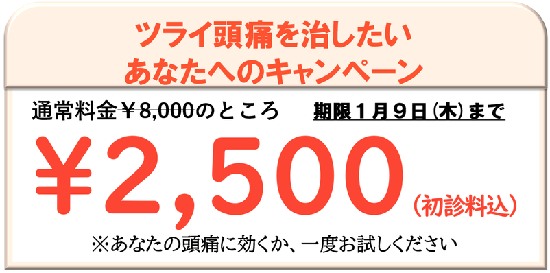 頭痛が続いてツラい思いをしているあなただけのキャンペーン。頭痛の原因と治し方がわかります。